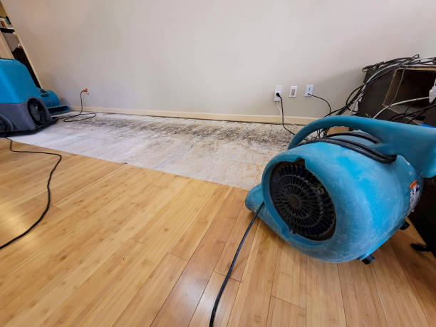Professional Burst Pipe Water Damage technician working in Morganville, NJ